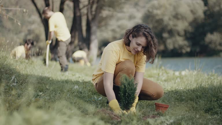 Best Lawn Maintenance Plans  in Harrison, NJ
